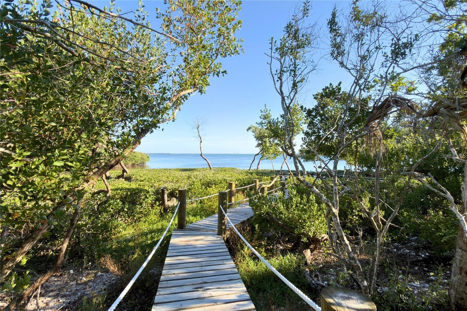 TIDY ISLAND PH II - Residential