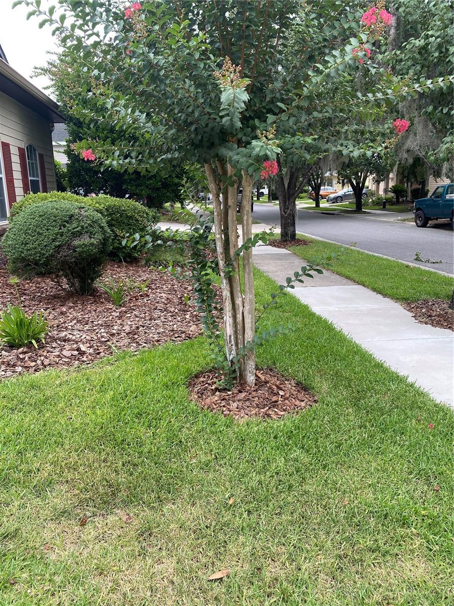 LONGLEAF UNIT 2 PH 5 - Residential