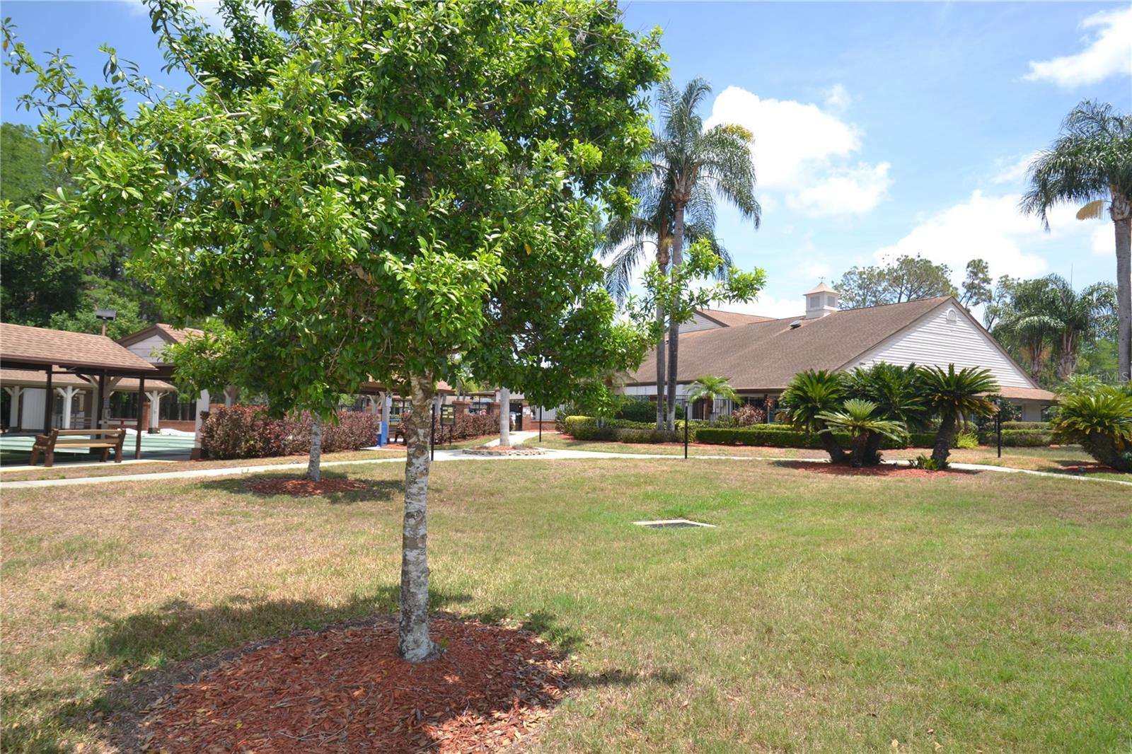 CAMBRIDGE COMMONS CONDO PH 02 - Residential Lease