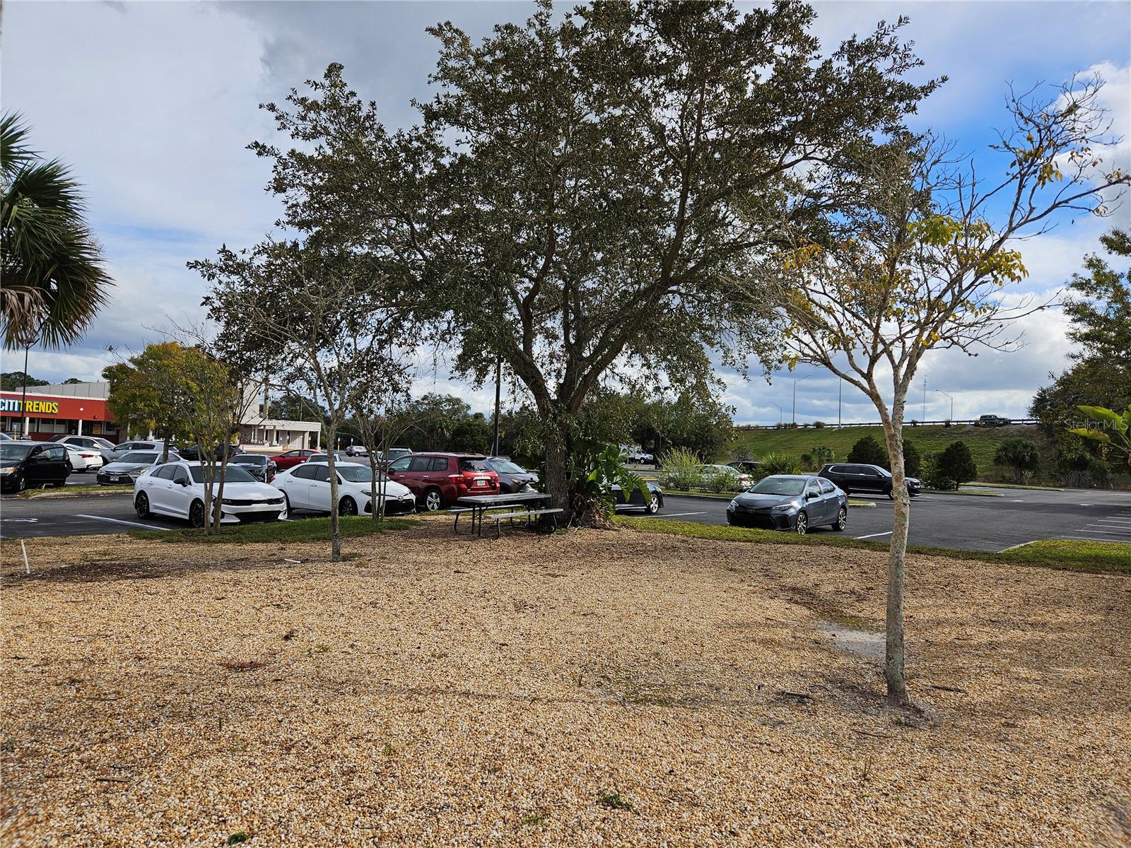 SANFORD PLAZA CONDOMINIUM - Commercial Sale