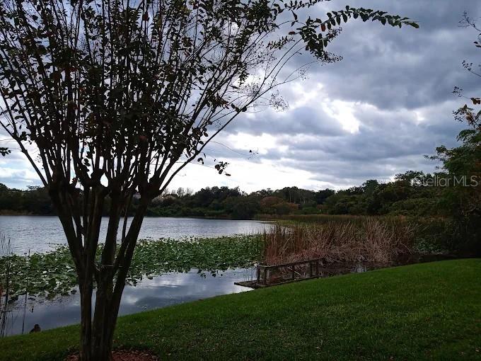 COVE AT LAKE PEARL - Residential