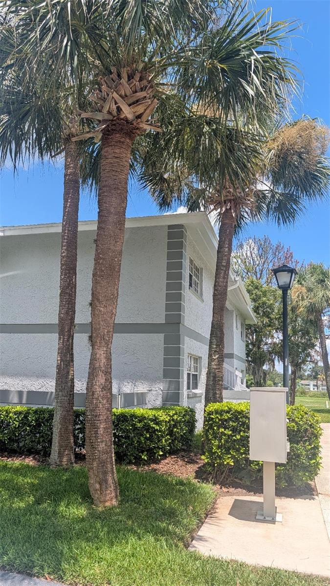 SILVER DOWNS - Residential