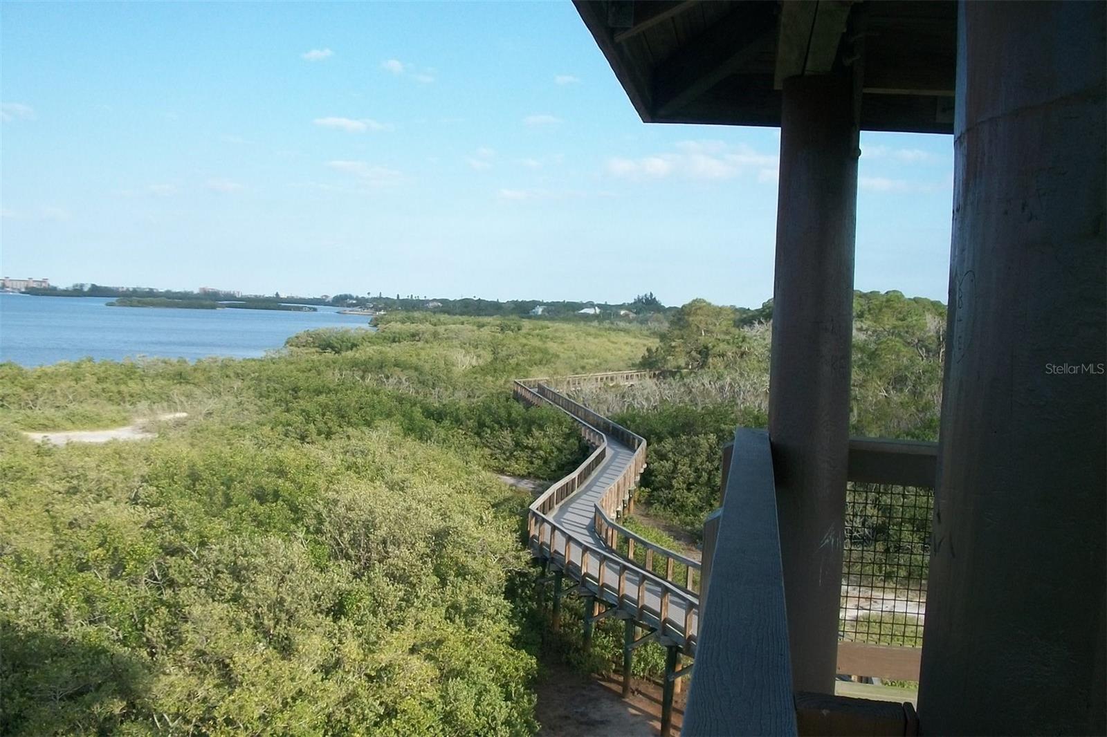 PINELLAS GROVES - Residential