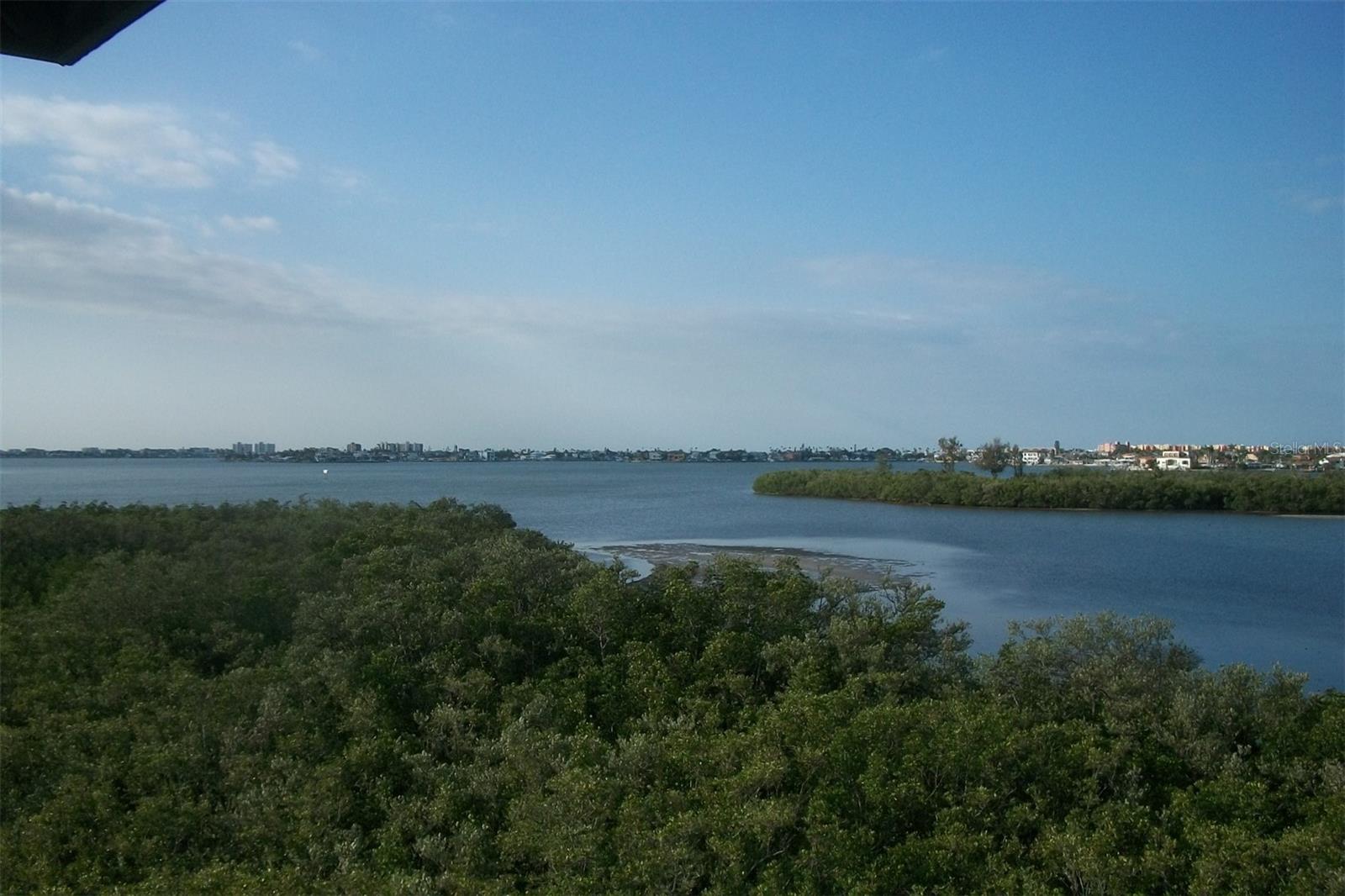 PINELLAS GROVES - Residential