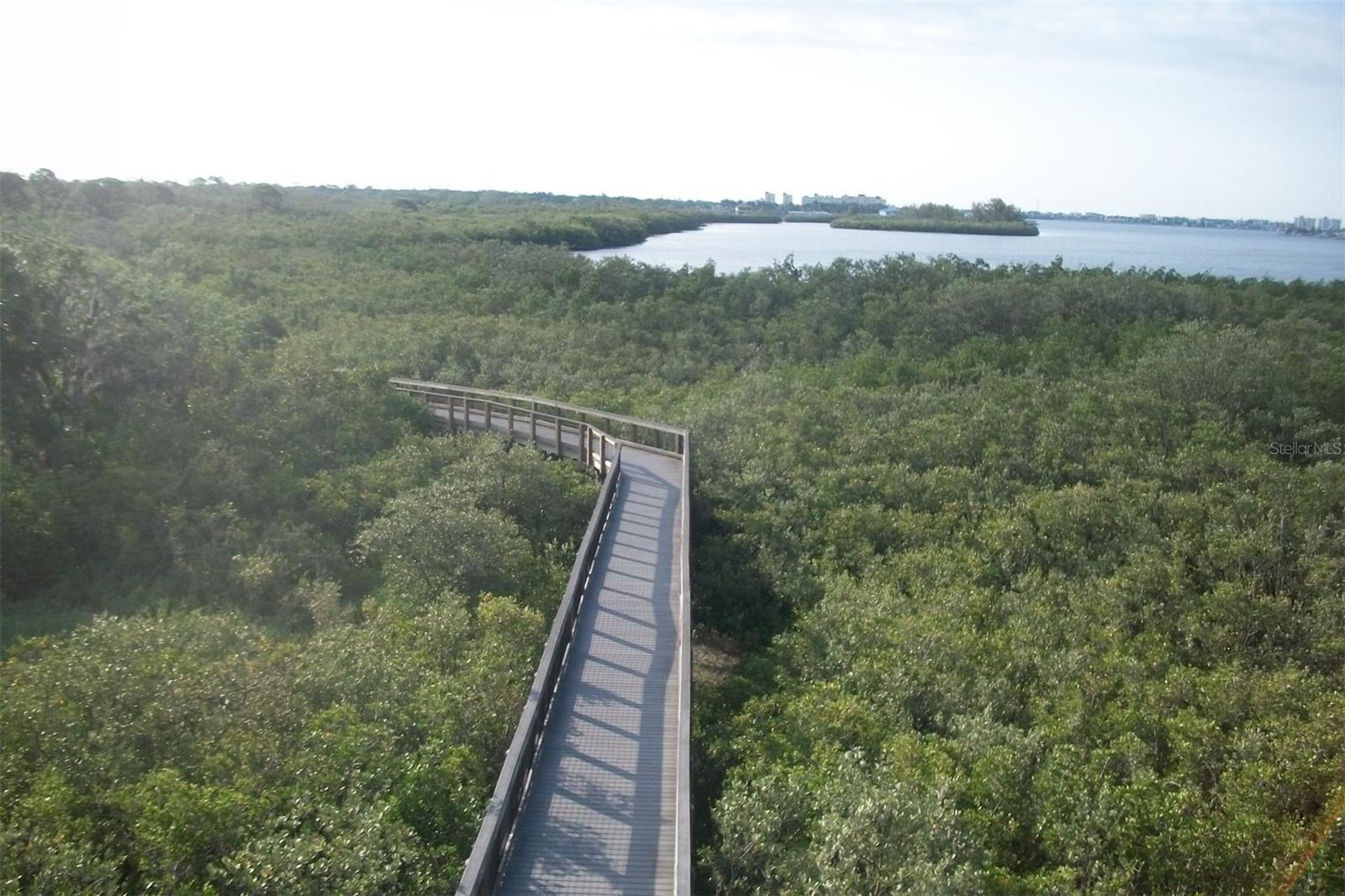 PINELLAS GROVES - Residential