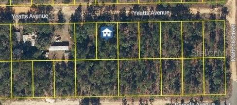 This nearly quarter acre lot offers the perfect opportunity to create your own Florida retreat. With plenty of room to build a site built or manufactured home and space to park your boat, RV, or other recreational toys, this property gives you flexibility without HOA restrictions. Enjoy the peaceful setting while being close to local lakes, public boat ramps, parks, and the Ocala National Forest. Convenient access to Palatka, Gainesville, and Jacksonville makes commuting or weekend trips easy. Country living with room to grow. Make this your new home site today!