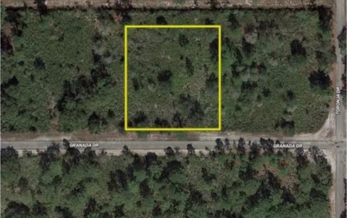 Build Your Florida Dream on 1 Acre in Indian Lake Estates

Opportunity awaits with this 1.0-acre homesite in the peaceful lake and golf community of Indian Lake Estates, just east of Lake Wales. Enjoy access to renowned Lake Walk-In-Water, a 7,500-acre freshwater lake famous for trophy bass fishing and natural beauty.

Residents enjoy a private boat ramp, marina, sandy beach area, covered pavilion with picnic tables and grills, and Florida’s longest freshwater fishing pier. Whether you love boating, fishing, or simply soaking in lake views, this community offers it all.

Indian Lake Estates also features an 18-hole golf course, expansive clubhouse (approx. 23,000 sq. ft.), fitness center, pro shop, tennis and basketball courts, café, post office, library, and more — everything you need right within the neighborhood.

Surrounded by natural Florida landscape, you’ll often spot deer, turkey, cranes, and other wildlife right outside your door. Enjoy the quiet of country living while staying conveniently located — approximately one hour to Orlando attractions and about an hour to Tampa and Gulf Coast beaches.

If you’re looking for space, serenity, and community amenities all in one, this acre lot is ready for your future plans.

Parcel ID: 29-31-01-994030-014603
GPS Coordinates: 27.8106820, -81.3716556