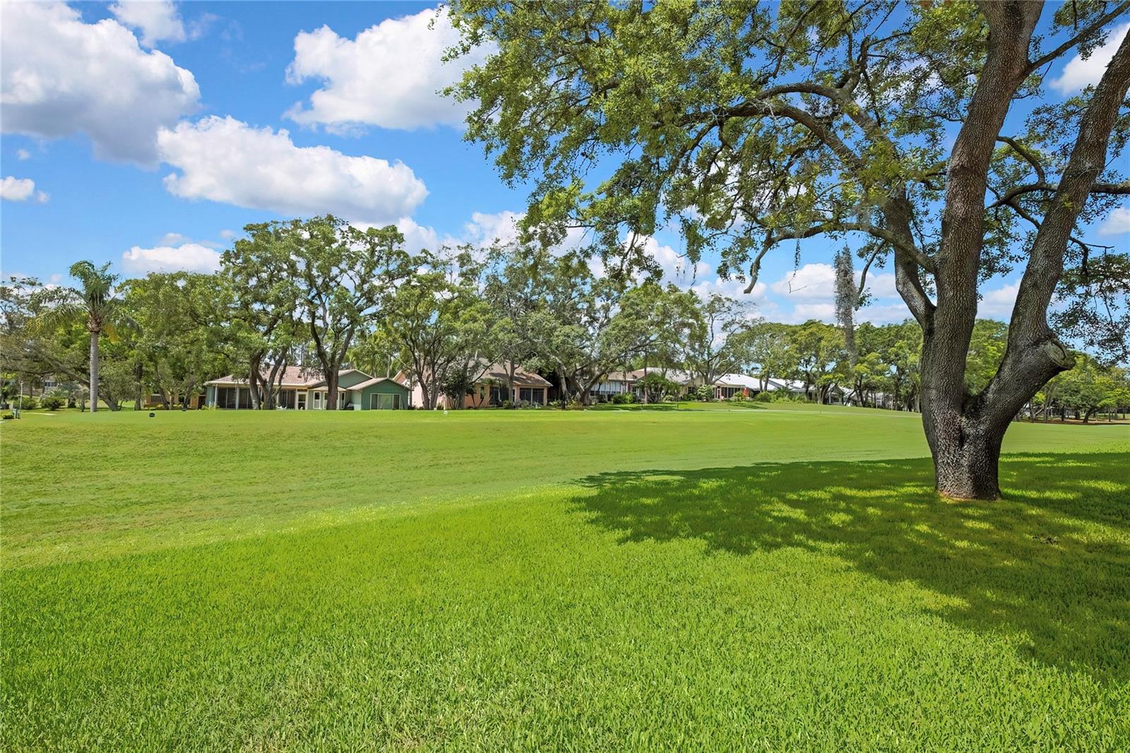 TIMBER PINES - Residential