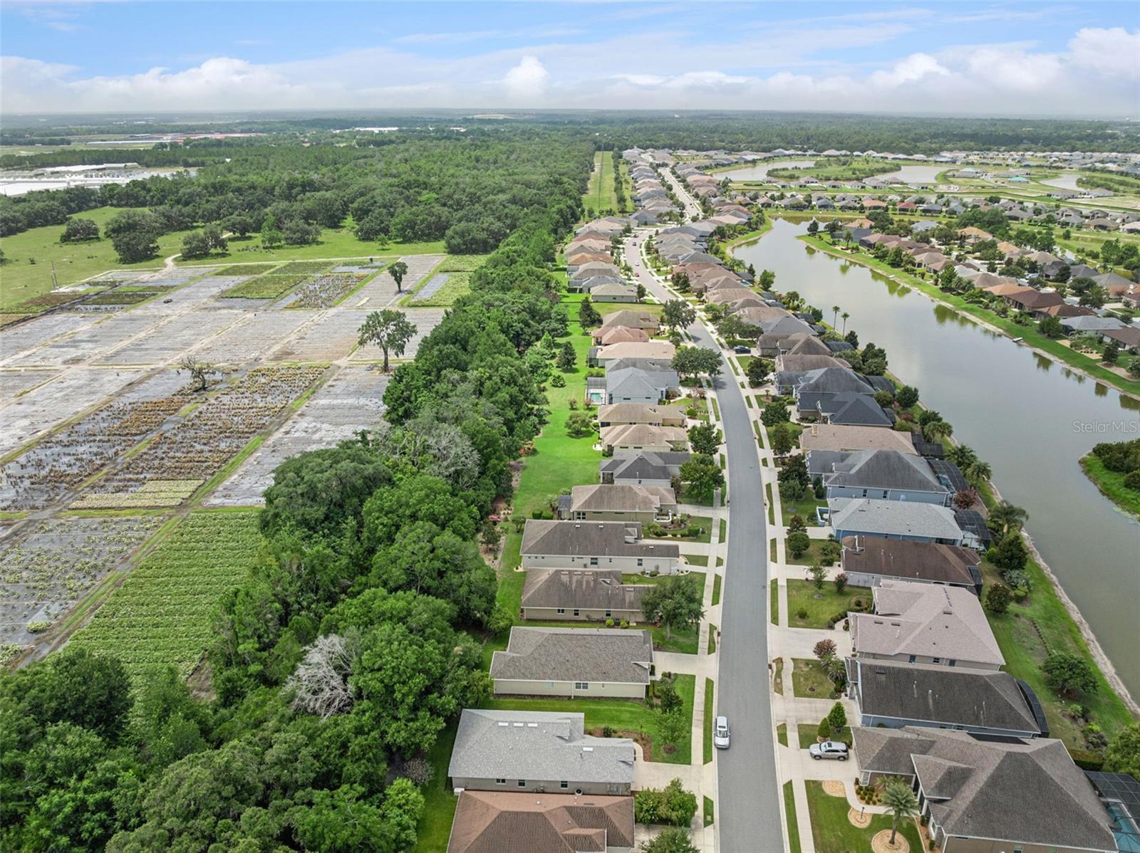 MOUNT DORA LAKES OF MOUNT DORA PH 02 - Residential