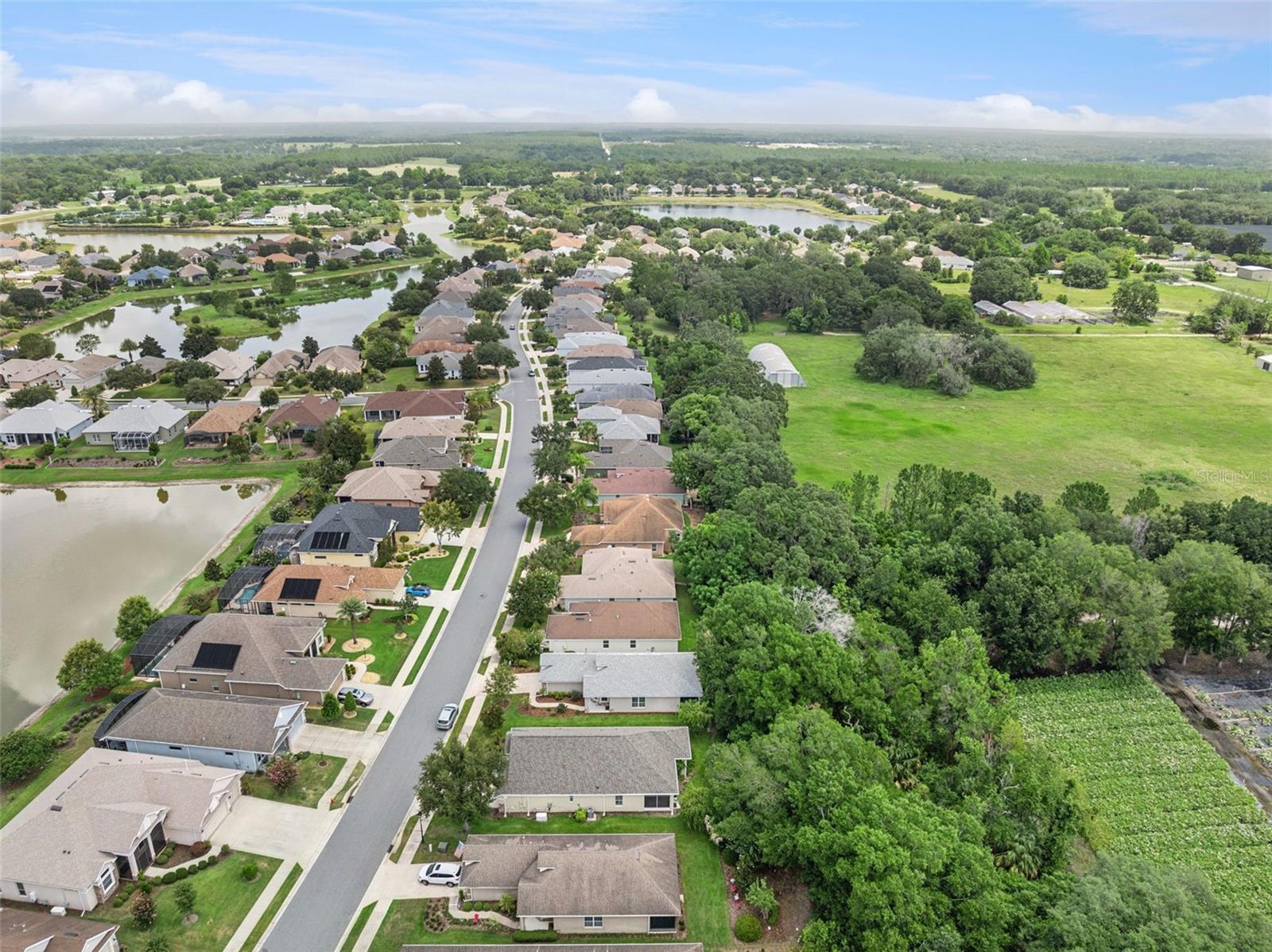 MOUNT DORA LAKES OF MOUNT DORA PH 02 - Residential