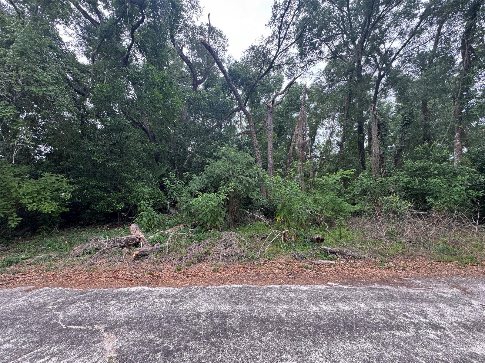 Prime opportunity in desirable Inverness Highlands North! This 0.19-acre property includes Lots 9–12 with MDR zoning, paved road frontage, and utilities at the road. Surrounded by mature trees, this homesite offers a peaceful setting with no HOA and no flood zone. Well and septic needed. Conveniently located near shopping, dining, medical offices, downtown Inverness, lakes, trails, golf, and more—perfect for your future home or investment!