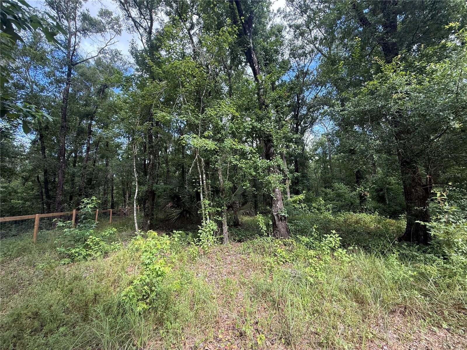 FLAGLER ESTATES UNPLATTED UNIT 2 - Residential