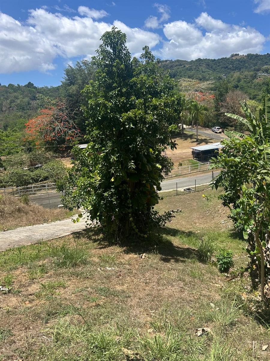 BO. QUEBRADA NEGRITO GATEWAY HILLS II SOLAR 8 - Residential
