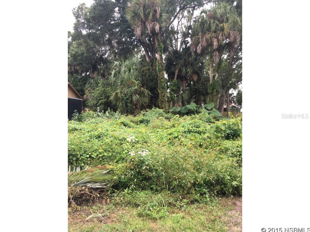 Florida Shores 01 - Land