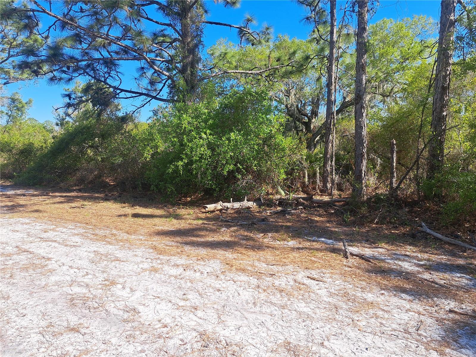 INDIAN LAKE ESTATES - Land