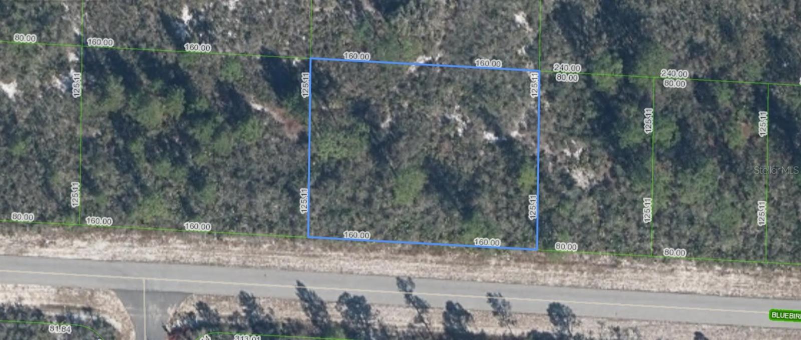 A VACANT LOT IN LAKE PLACID IN HIGHLANDS COUNTY!!!