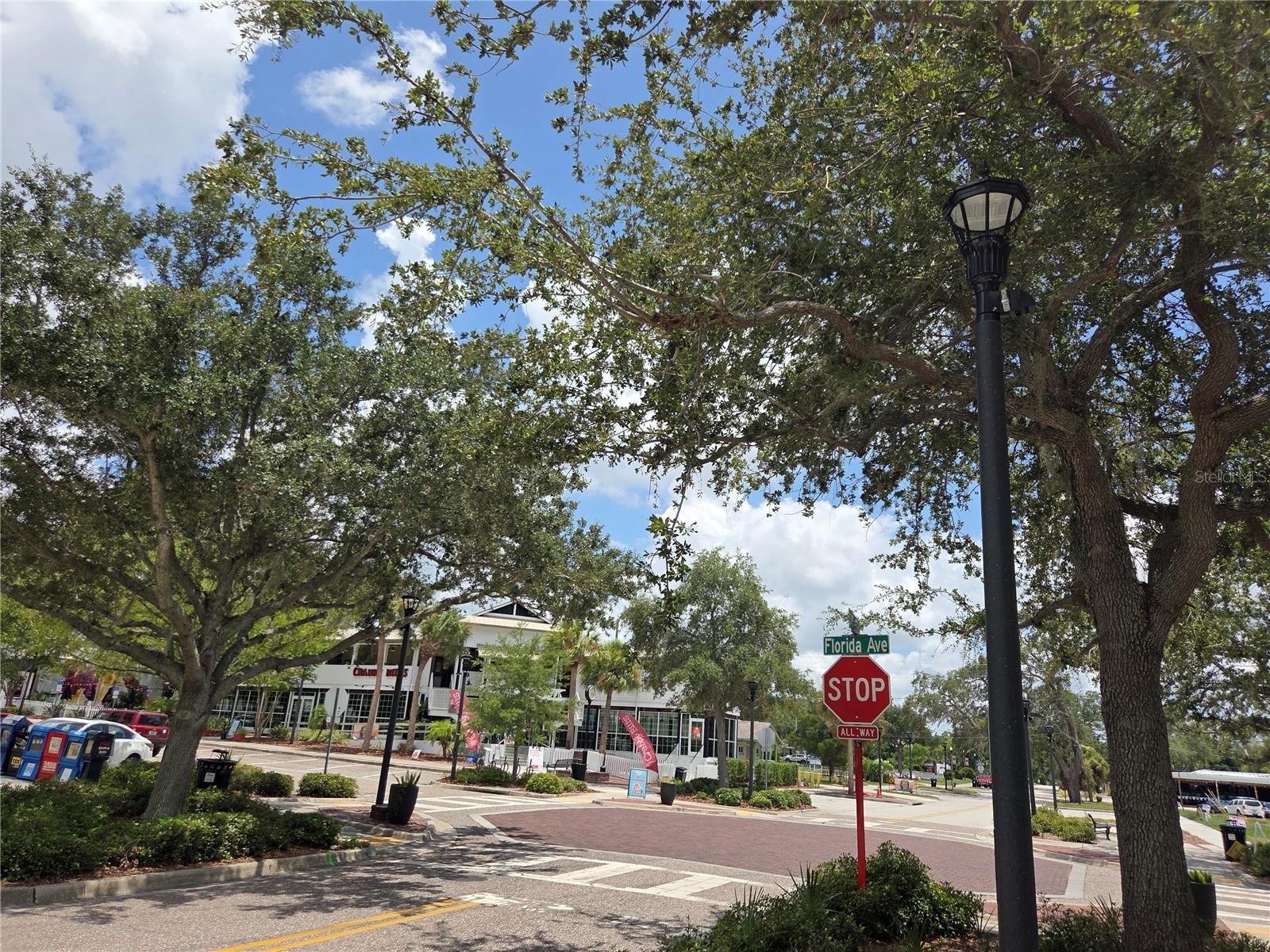 HARBOR HILLS OF PALM HARBOR - Residential