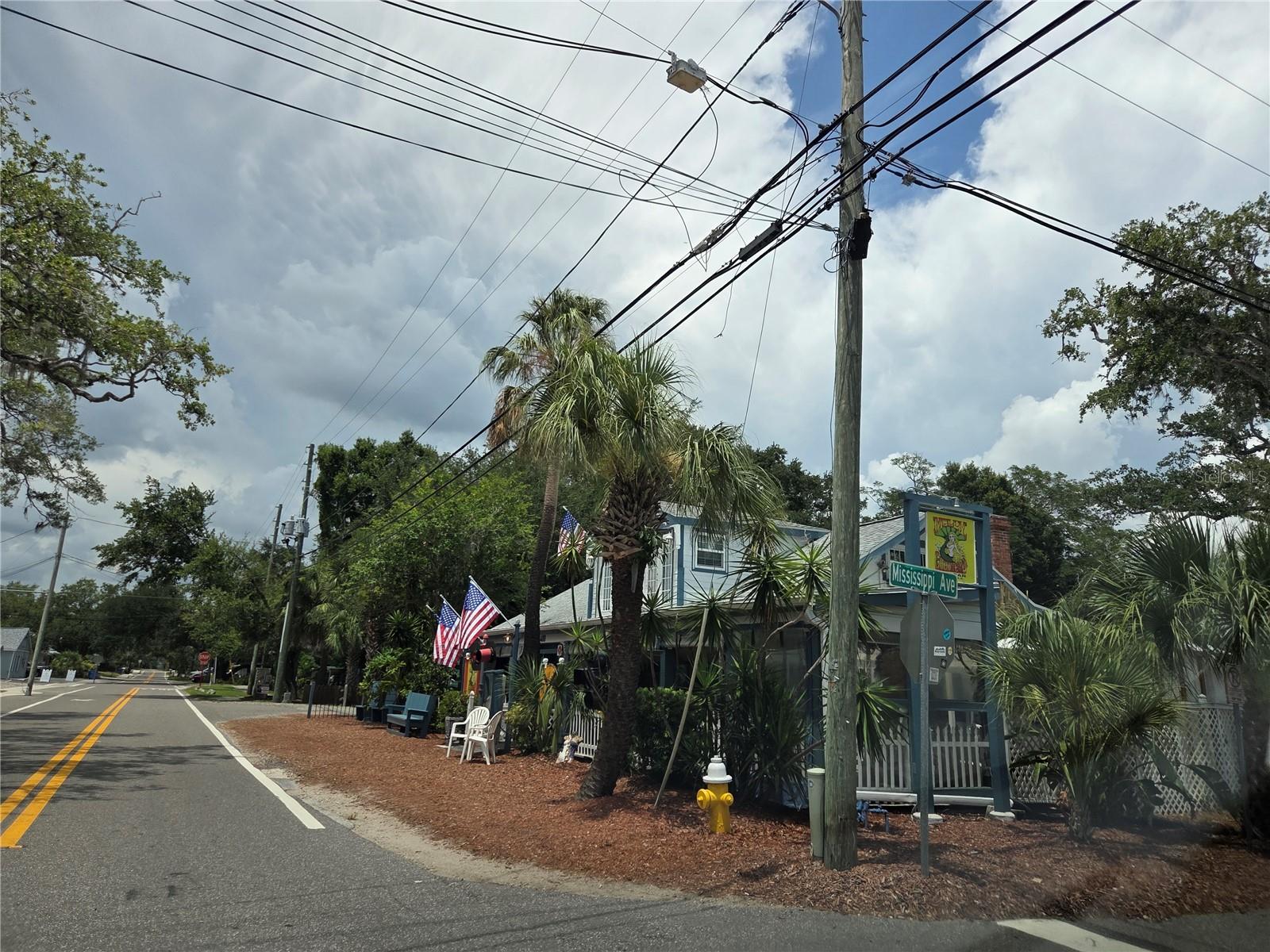 HARBOR HILLS OF PALM HARBOR - Residential