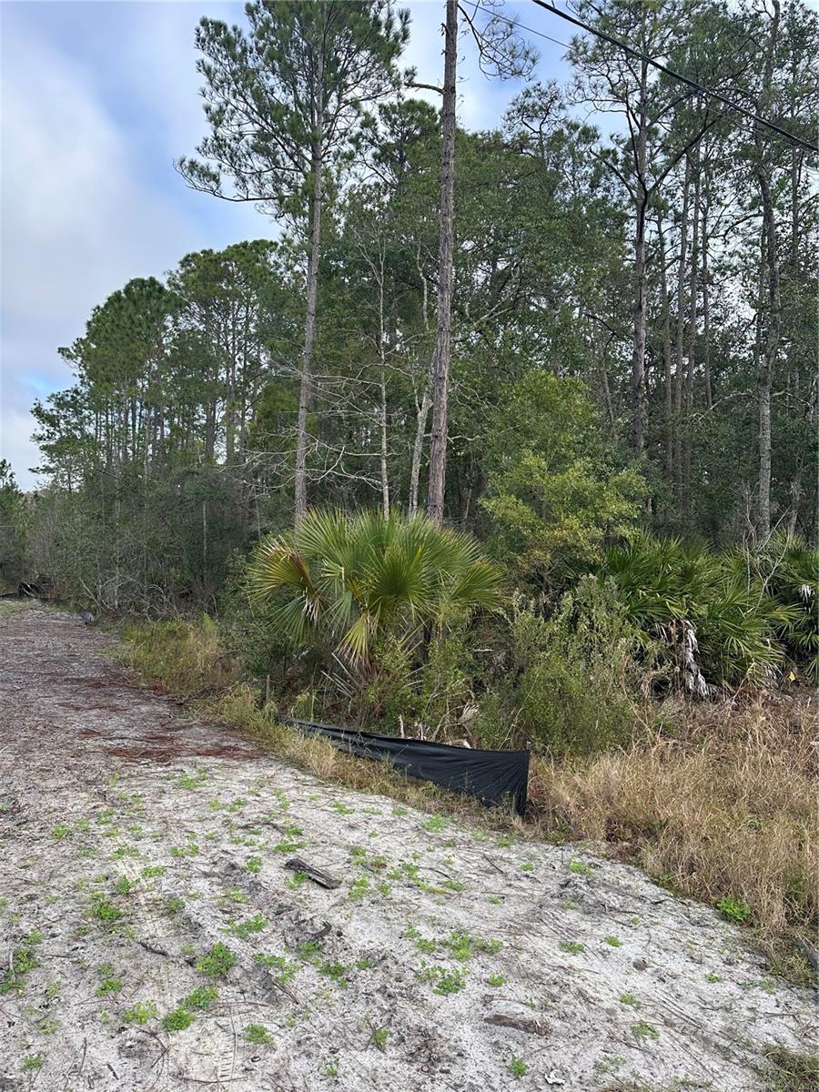 DAYTONA PARK ESTATES SEC F - Land