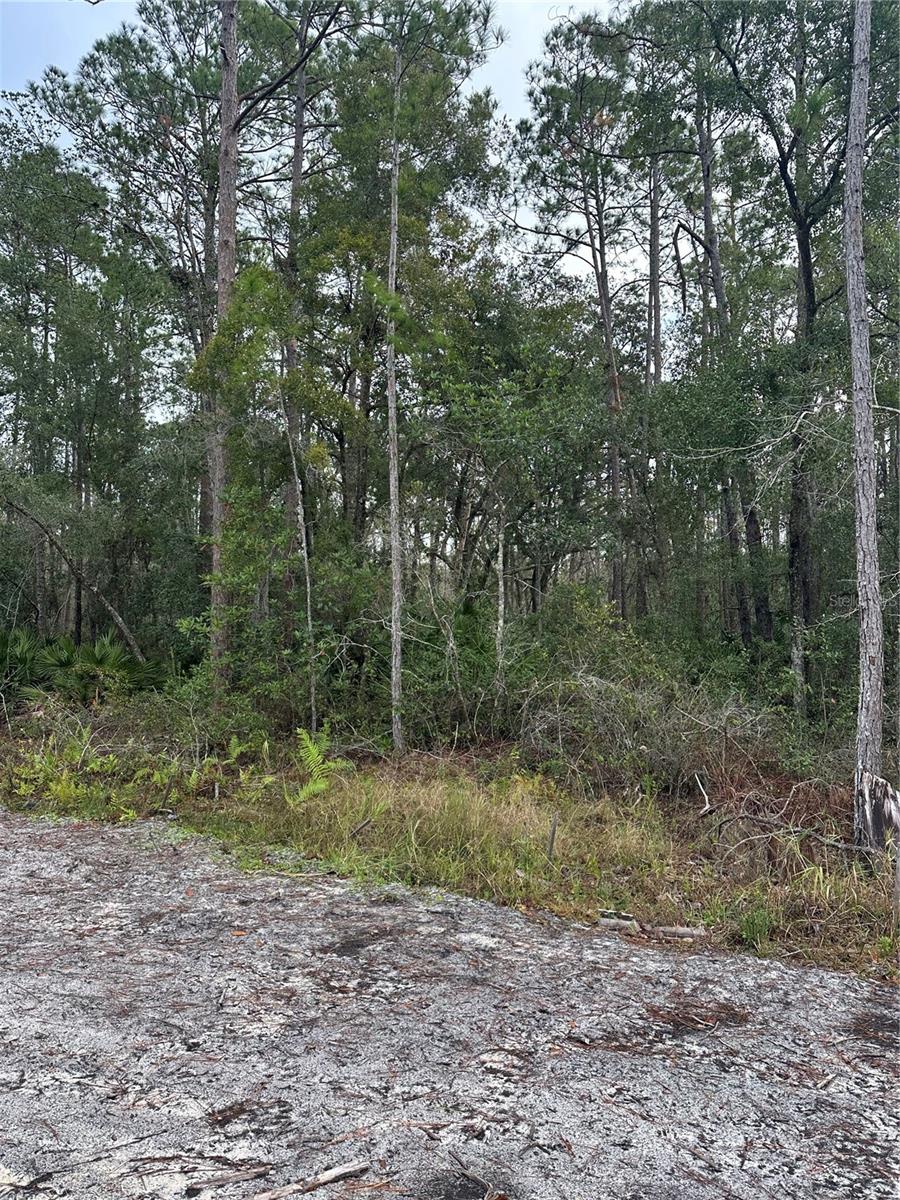 DAYTONA PARK ESTATES SEC F - Land