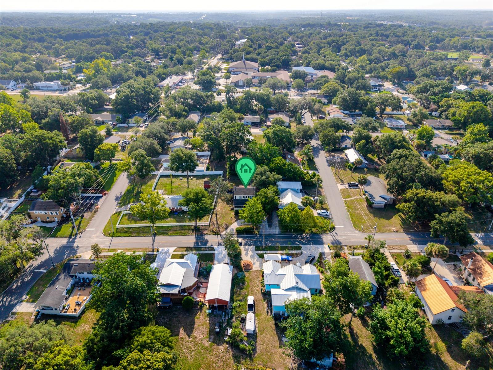 MOUNT DORA ALTA VISTA - Residential