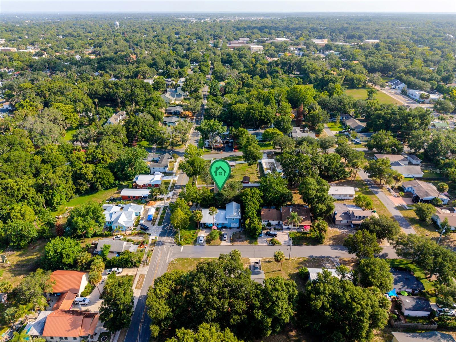 MOUNT DORA ALTA VISTA - Residential