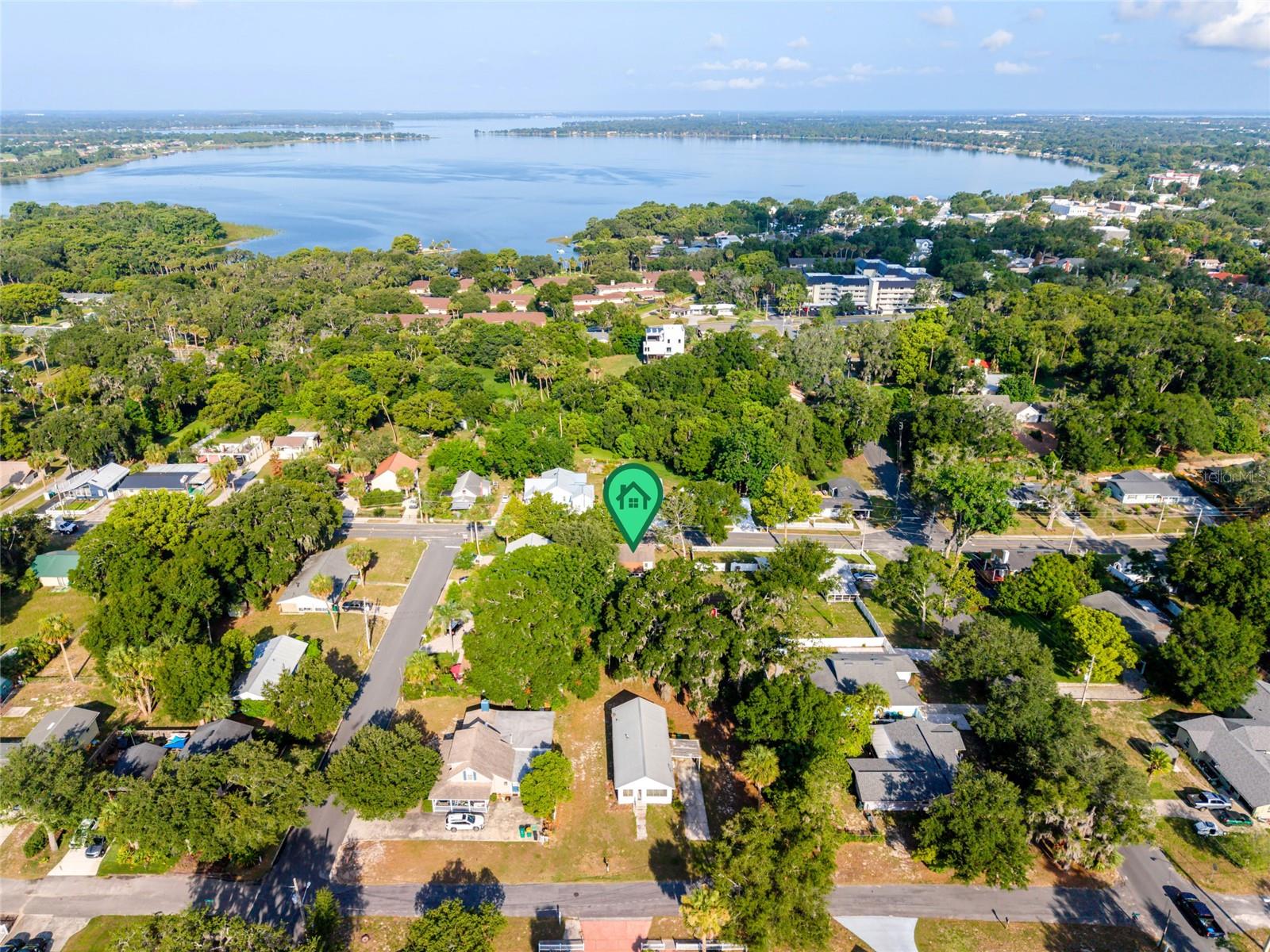 MOUNT DORA ALTA VISTA - Residential