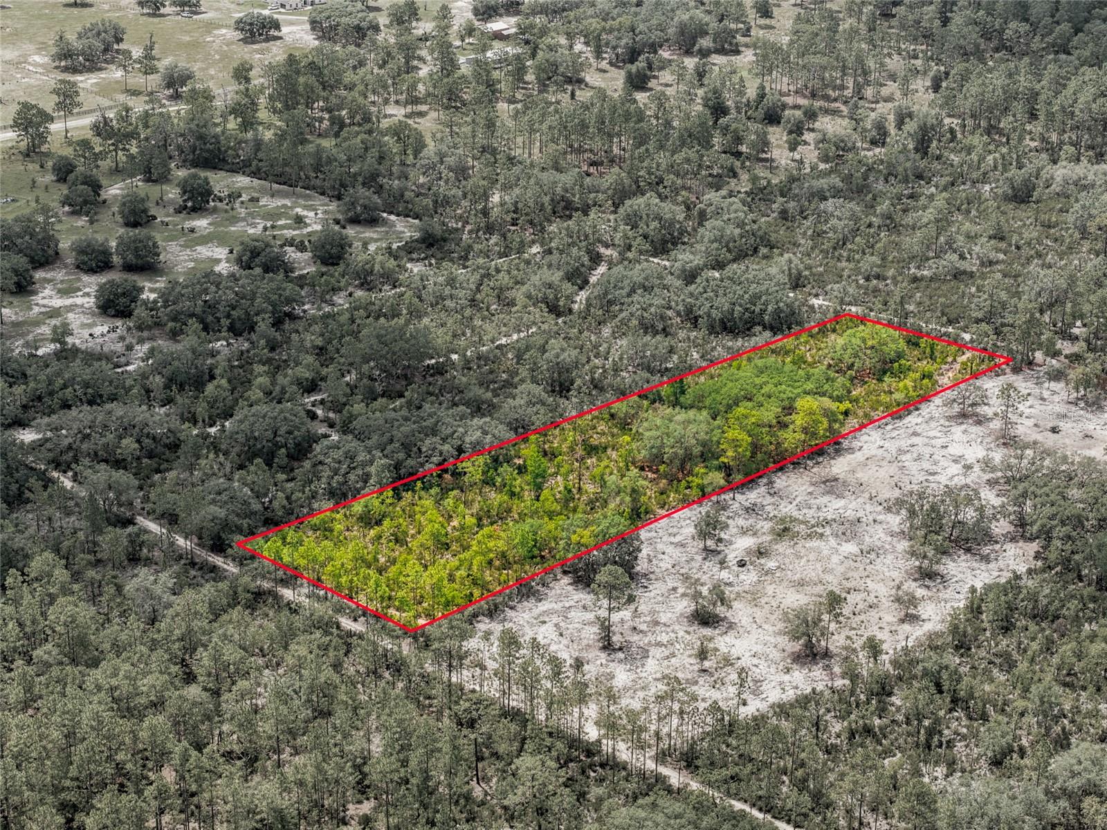 Discover this 1.25-acre vacant land parcel in Levy County, Florida! This property offers excellent potential for your future homesite or investment opportunity.  Zone Residential with no HOA restrictions.  It provides flexibility for your building plans.  Power is nearby and the property is located in a no flood zone area, offering added peace of mind.  Enjoy the privacy space of rural Florida living while still having convenient access to nearby roads and amenities