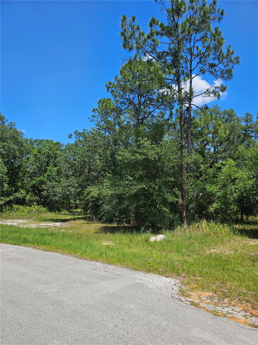 POINCIANA NBRHD 06 SOUTH VILLAGE 03 - Land