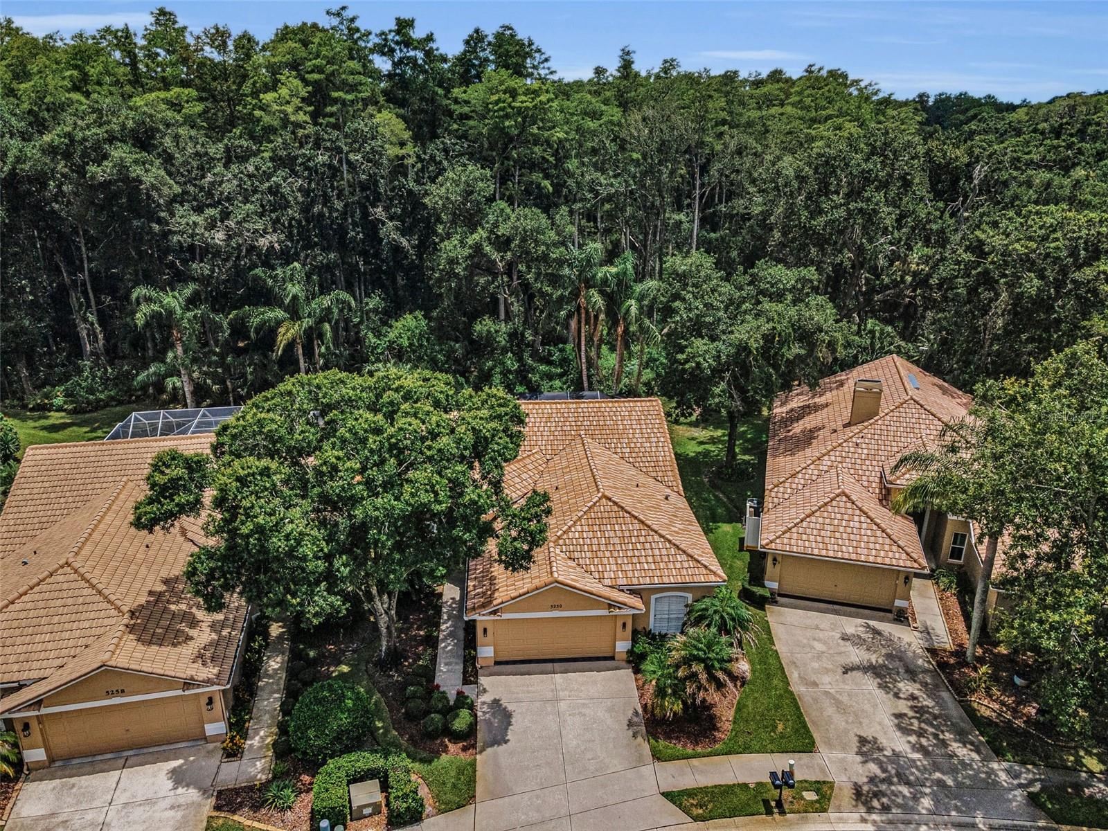PARCEL B - THE PINNACLE - Residential