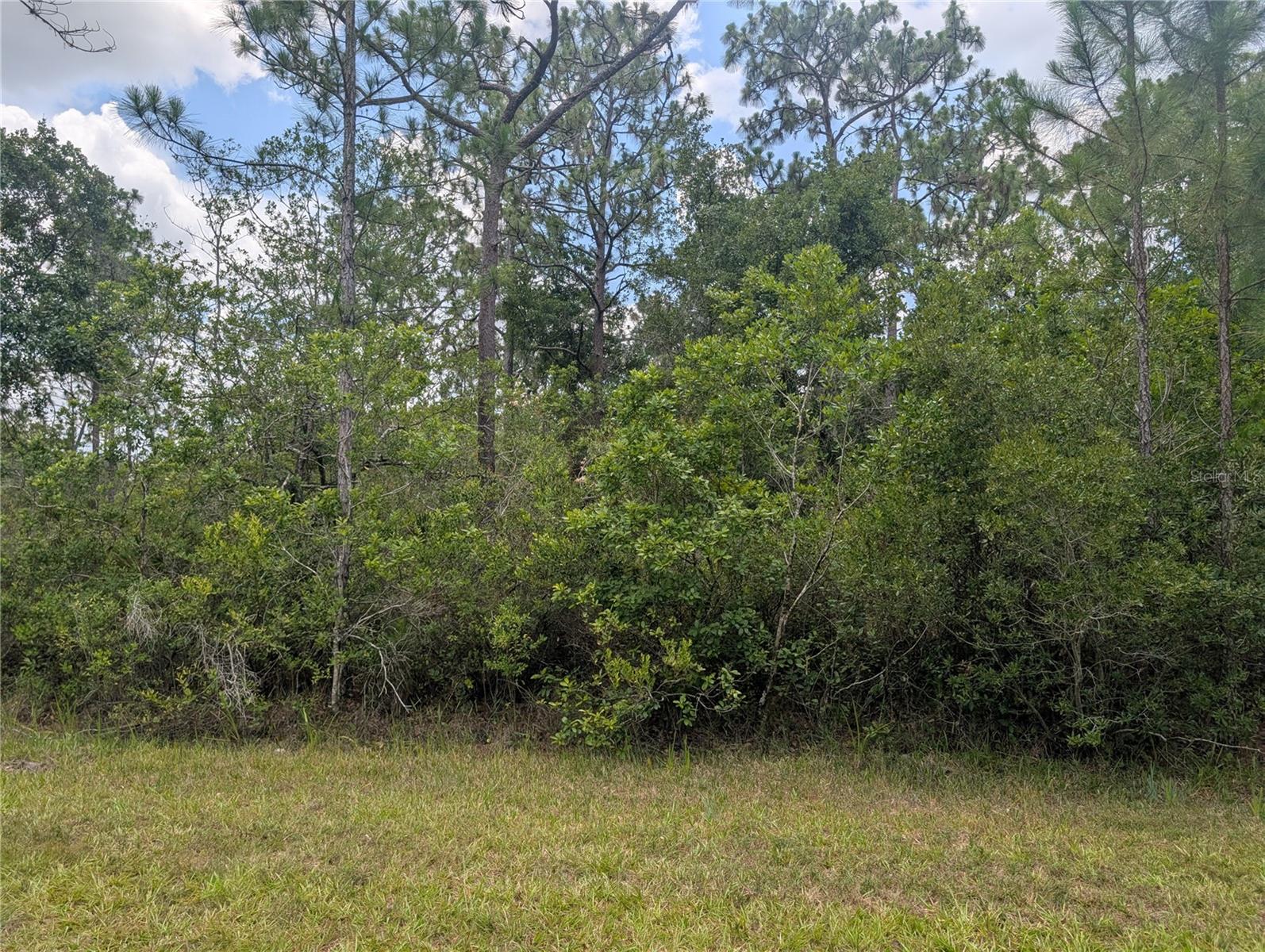 INDIAN LAKE ESTATES - Land