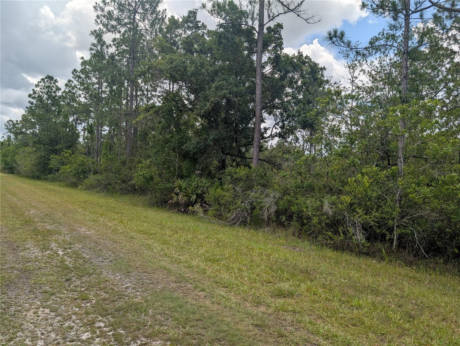 INDIAN LAKE ESTATES - Land