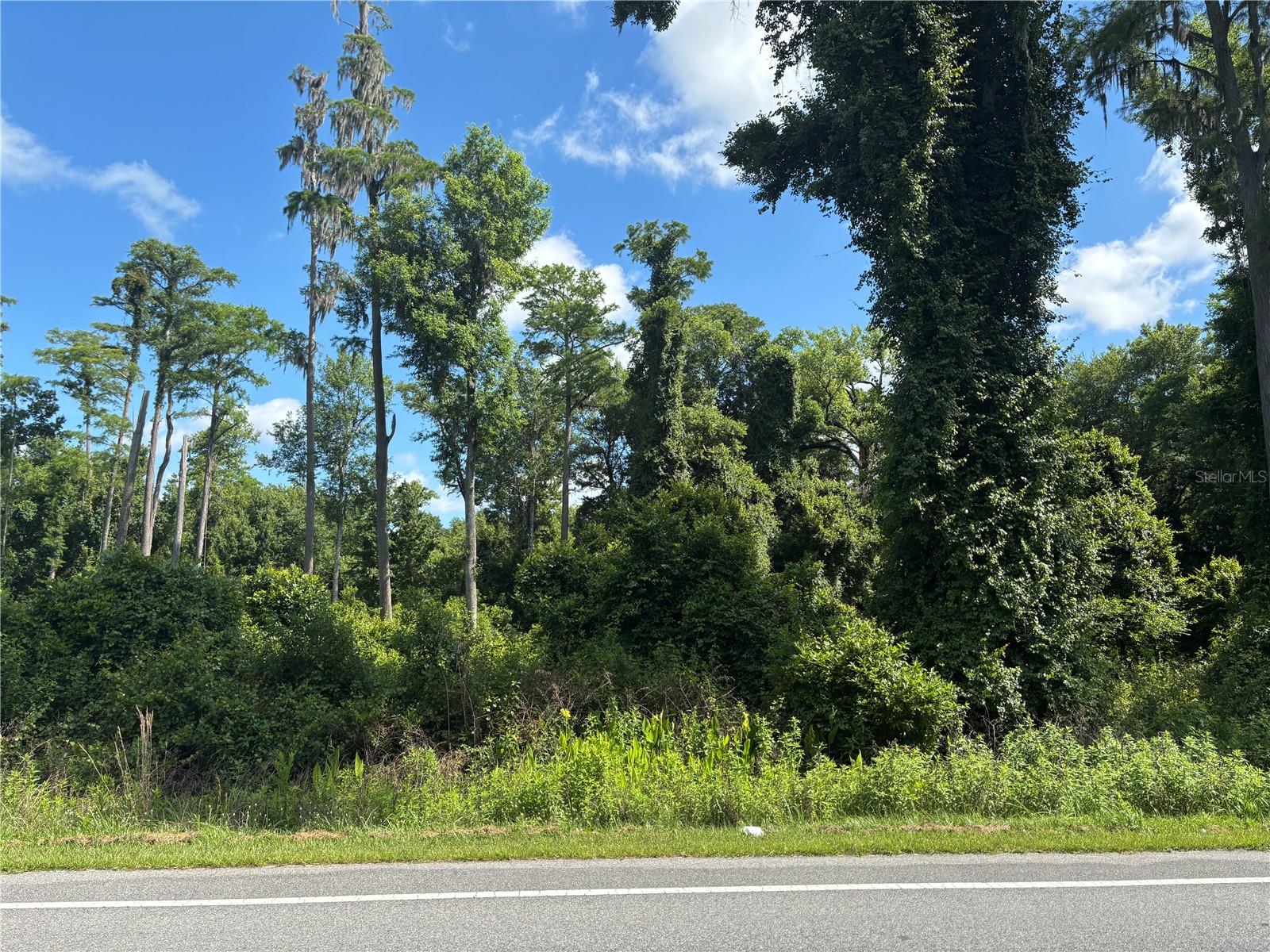 DAYTONA NORTH - Land