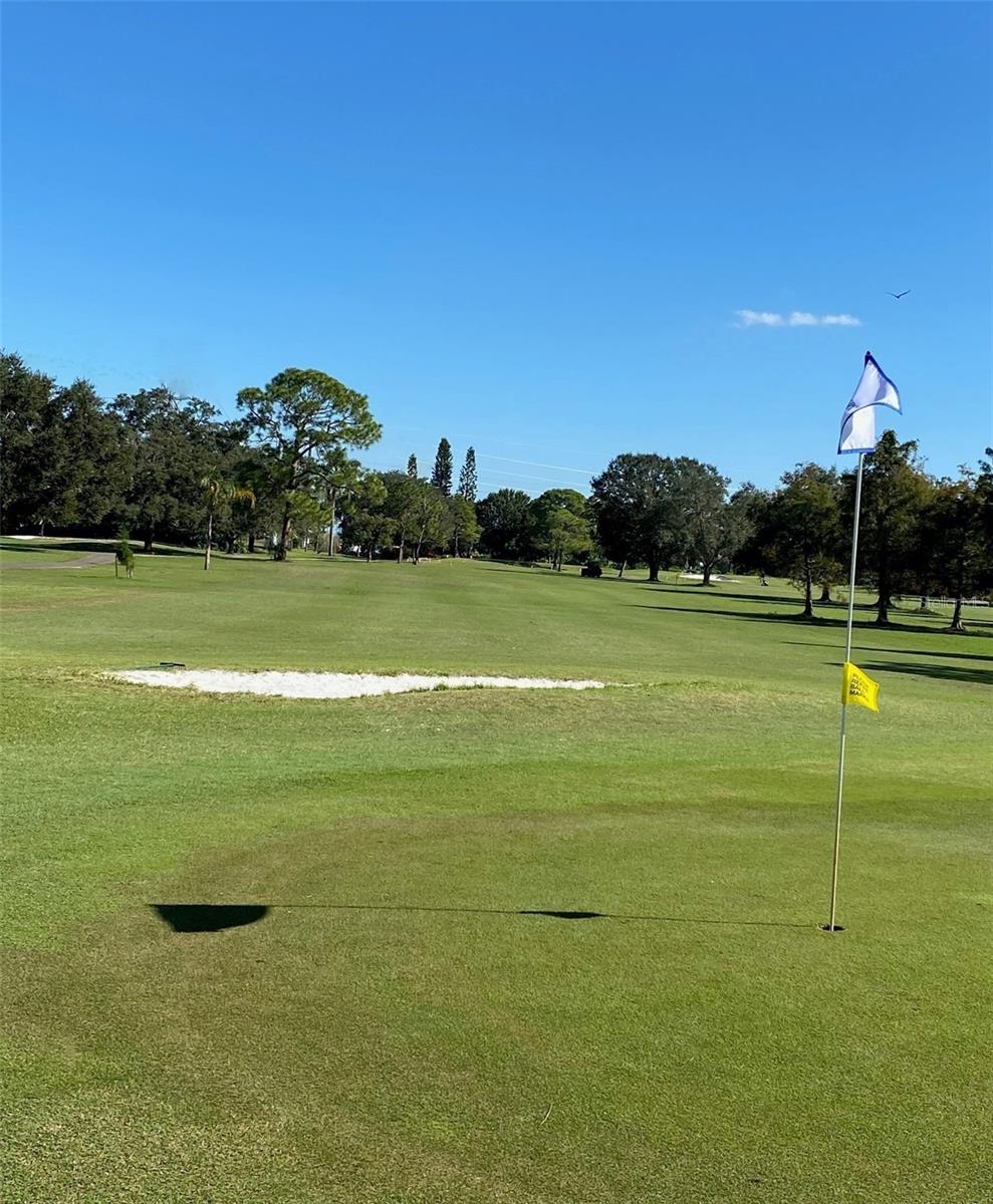 SPRINGWOOD VILLAS - Residential