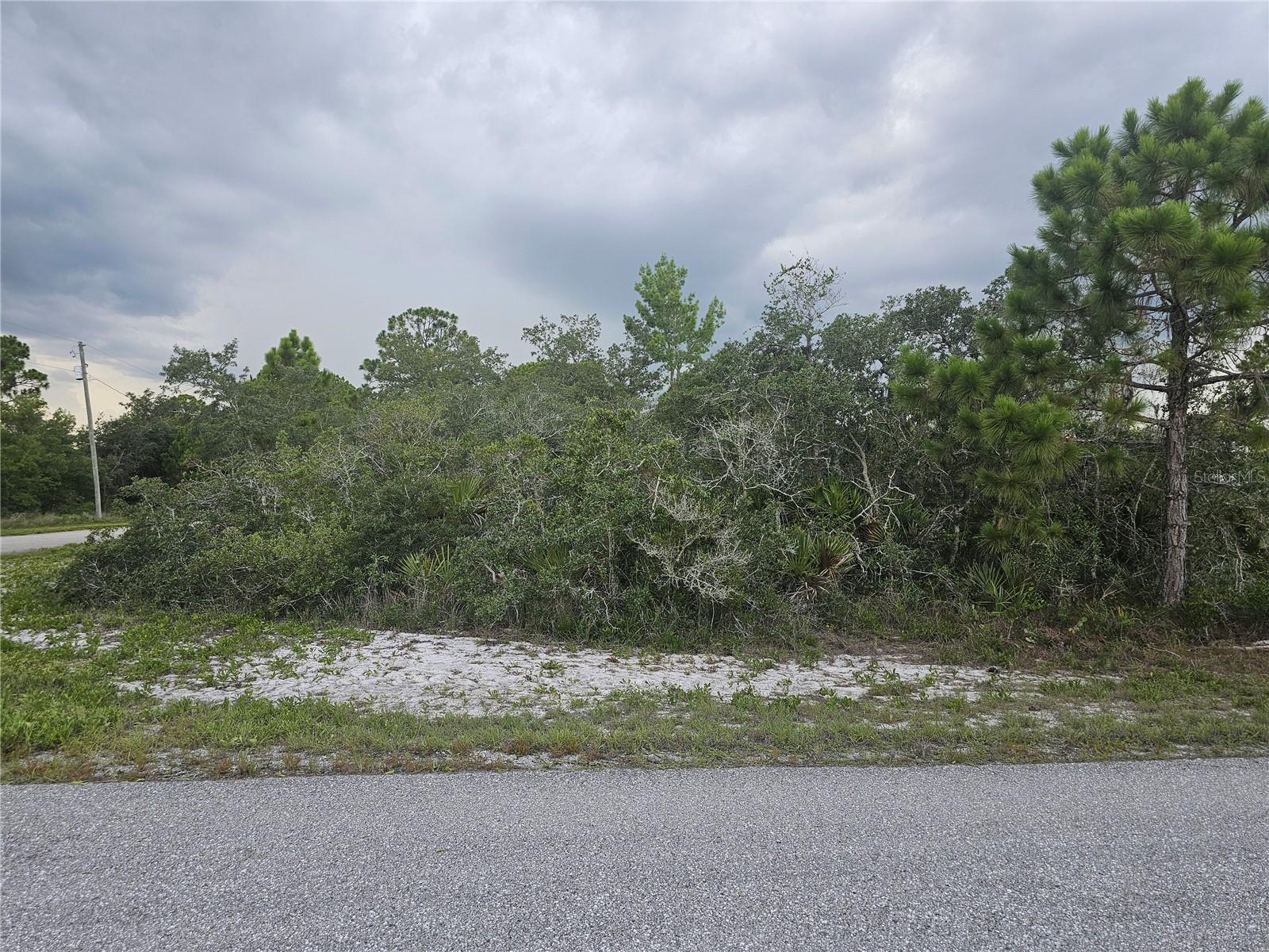 Build your Florida dream on this beautiful wooded corner lot in the desirable Placid Lakes community! Situated on a paved road with nearby utilities, this property offers the perfect opportunity for your future home or investment. Enjoy easy access to Lake June in Winter, Lake Placid, and Lake August for boating, fishing, and outdoor recreation. Discover the charm of Lake Placid—The Town of Murals—known for its colorful murals, vibrant downtown Farmer's Market, annual Caladium Festival, holiday celebrations, and year-round community events. Whether you're looking to build now or invest for the future, this is your chance to own a piece of Florida's small-town paradise.