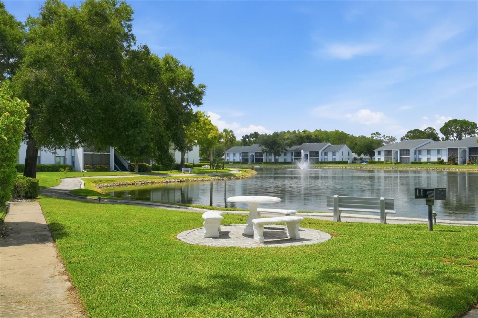 PINE RIDGE AT LAKE TARPON VILLAGE - Residential