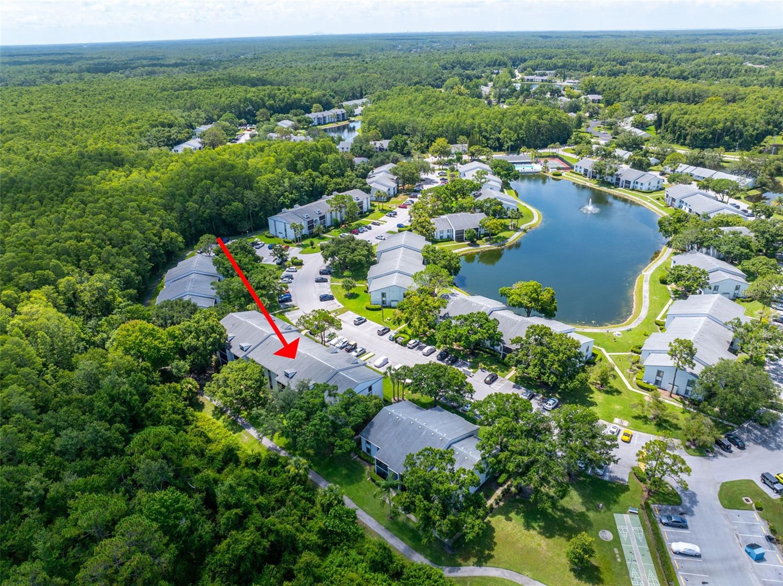 PINE RIDGE AT LAKE TARPON VILLAGE - Residential