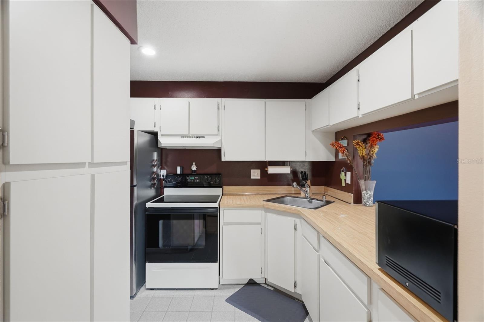 PINE RIDGE AT LAKE TARPON VILLAGE - Residential