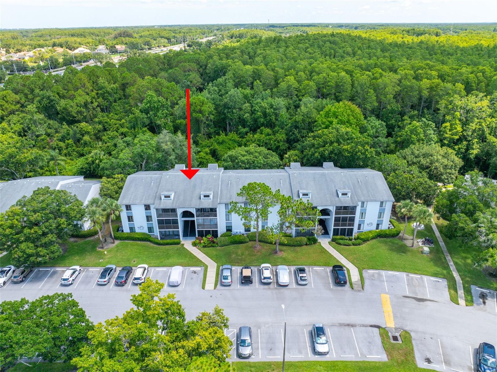 PINE RIDGE AT LAKE TARPON VILLAGE - Residential