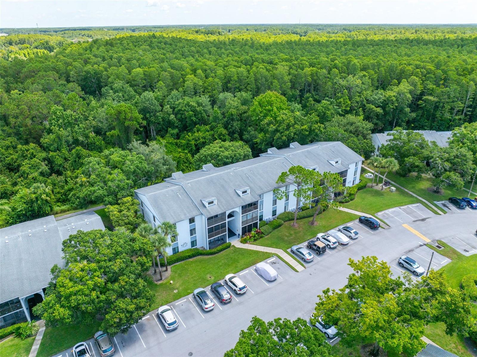 PINE RIDGE AT LAKE TARPON VILLAGE - Residential