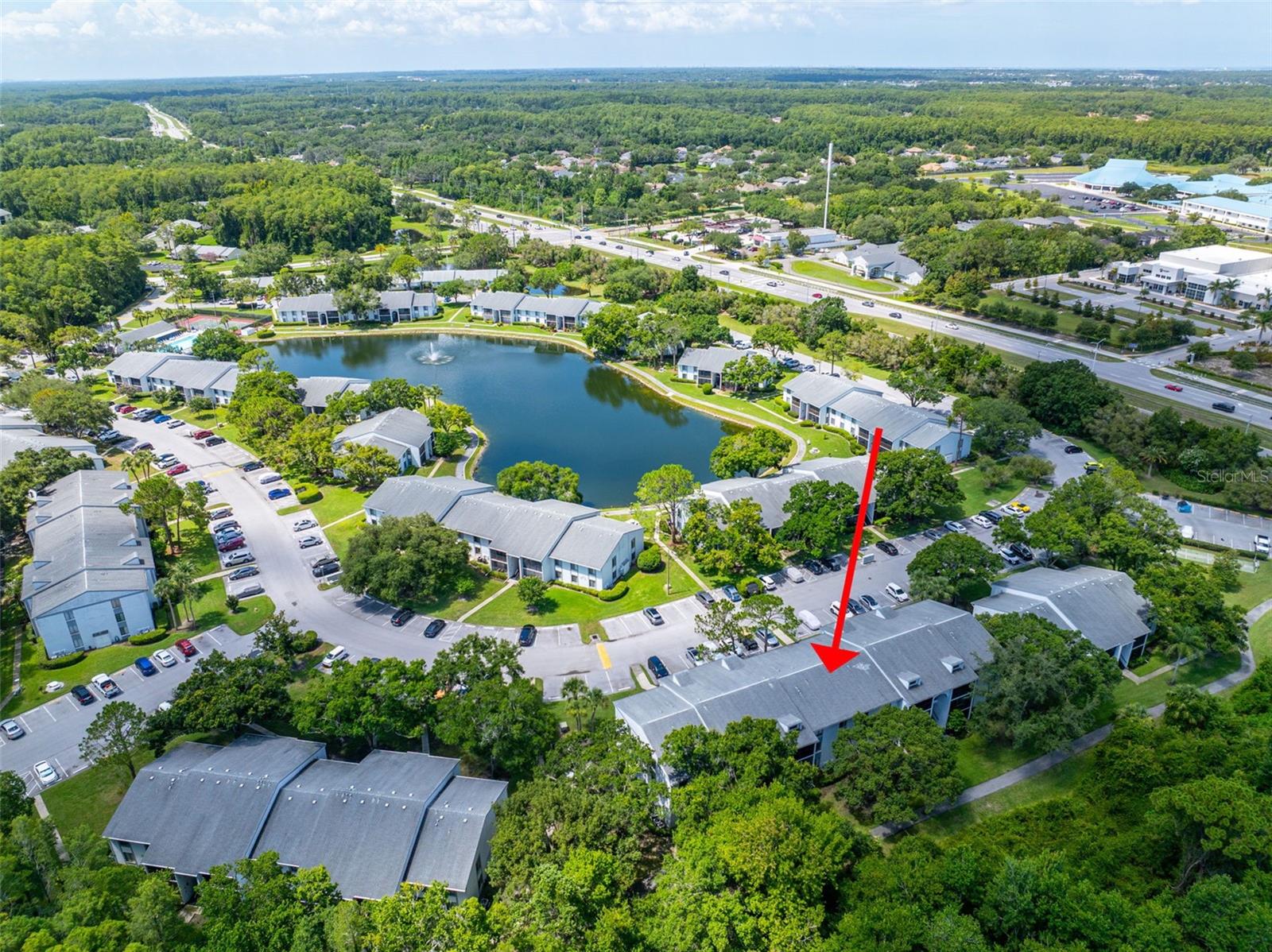 PINE RIDGE AT LAKE TARPON VILLAGE - Residential