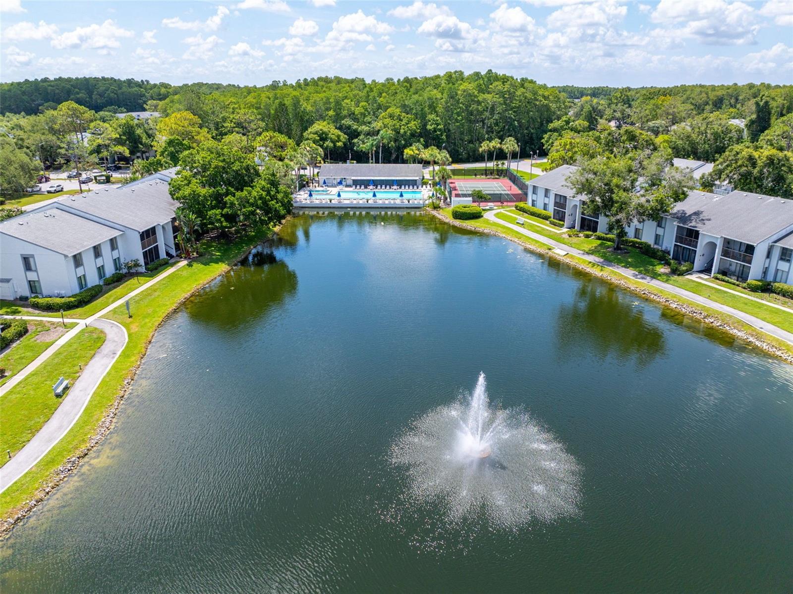 PINE RIDGE AT LAKE TARPON VILLAGE - Residential