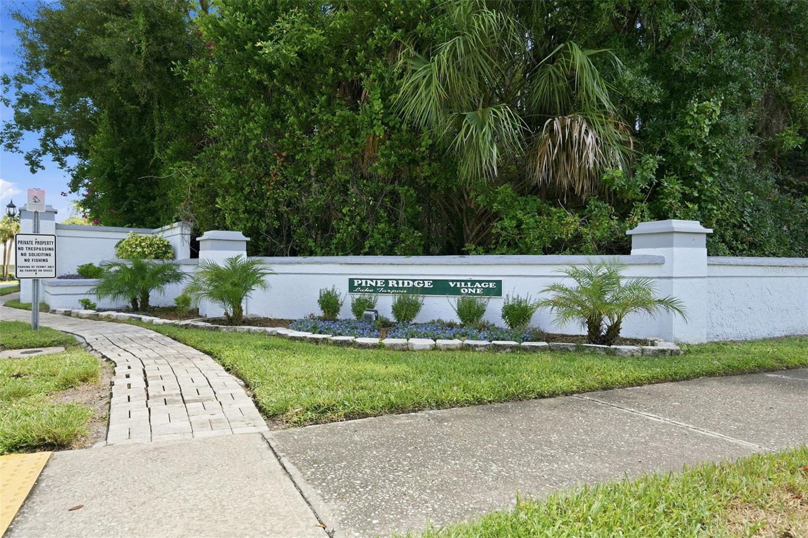 PINE RIDGE AT LAKE TARPON VILLAGE - Residential