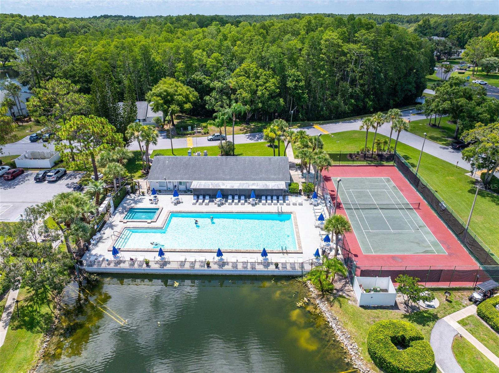 PINE RIDGE AT LAKE TARPON VILLAGE - Residential