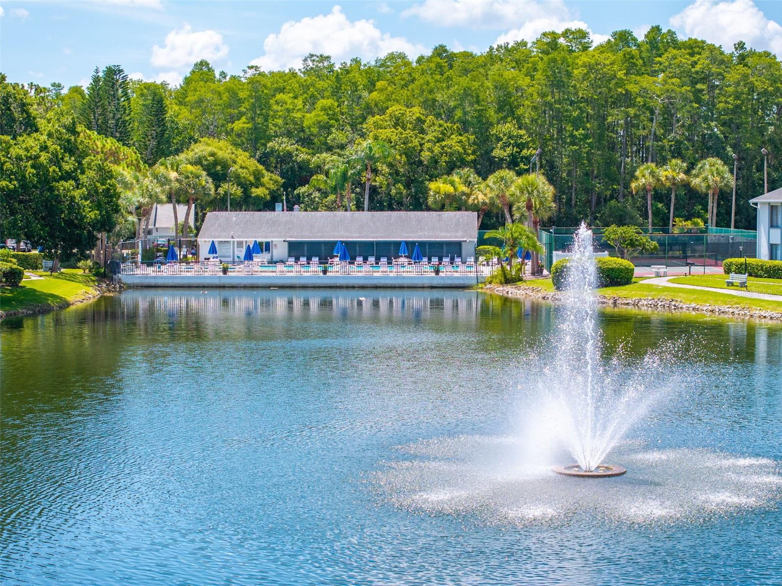 PINE RIDGE AT LAKE TARPON VILLAGE - Residential