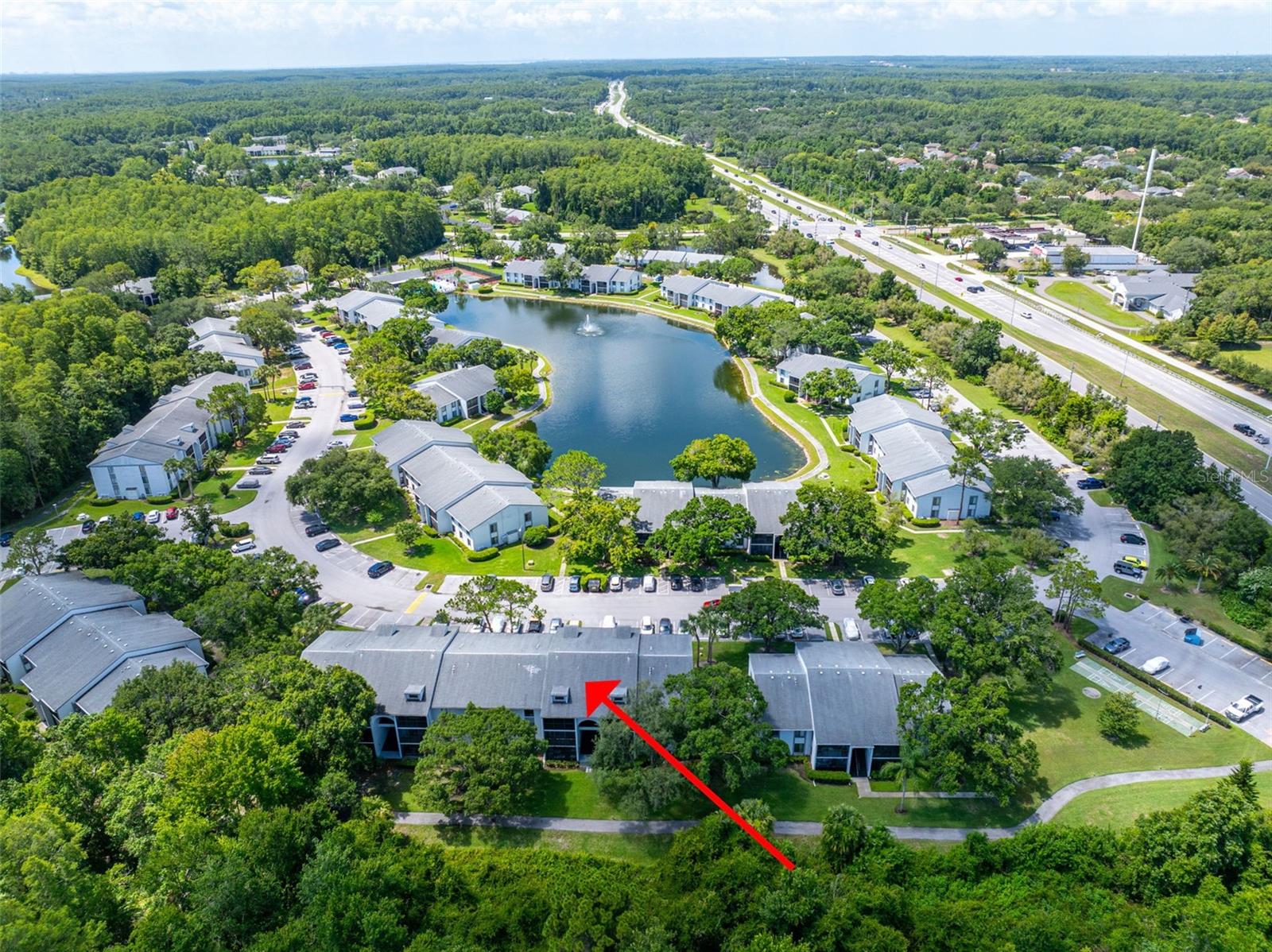 PINE RIDGE AT LAKE TARPON VILLAGE - Residential