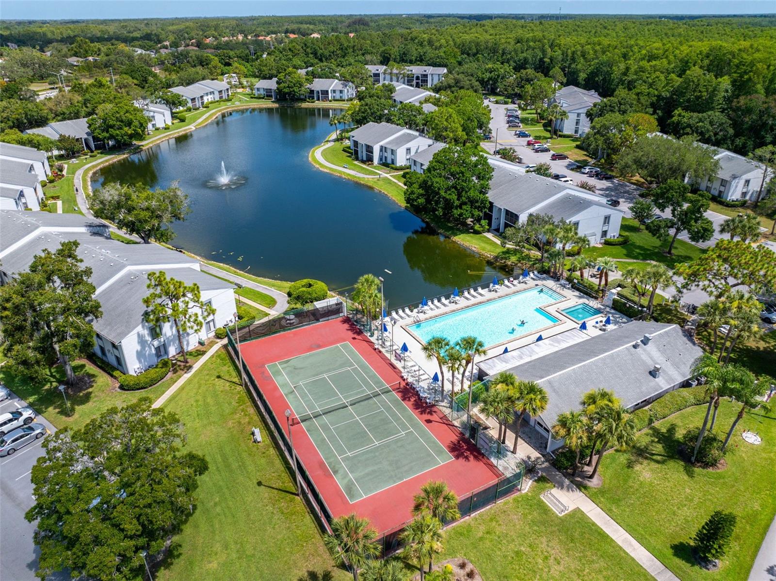 PINE RIDGE AT LAKE TARPON VILLAGE - Residential