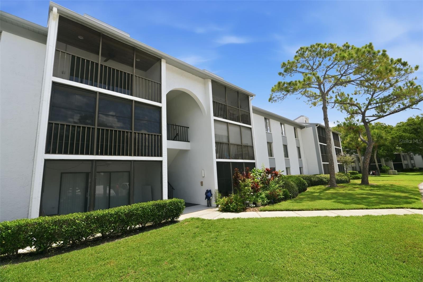 PINE RIDGE AT LAKE TARPON VILLAGE - Residential