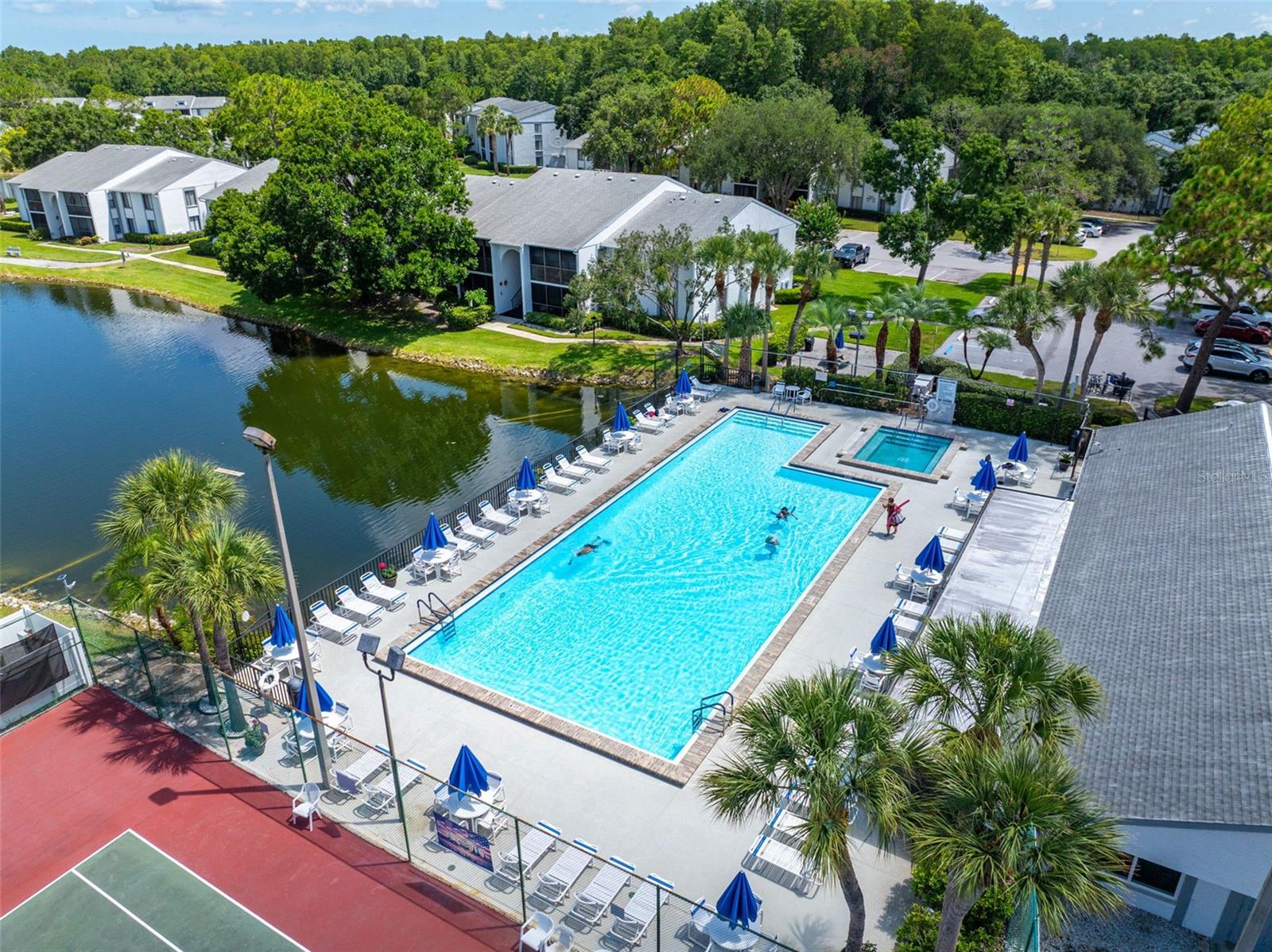 PINE RIDGE AT LAKE TARPON VILLAGE - Residential