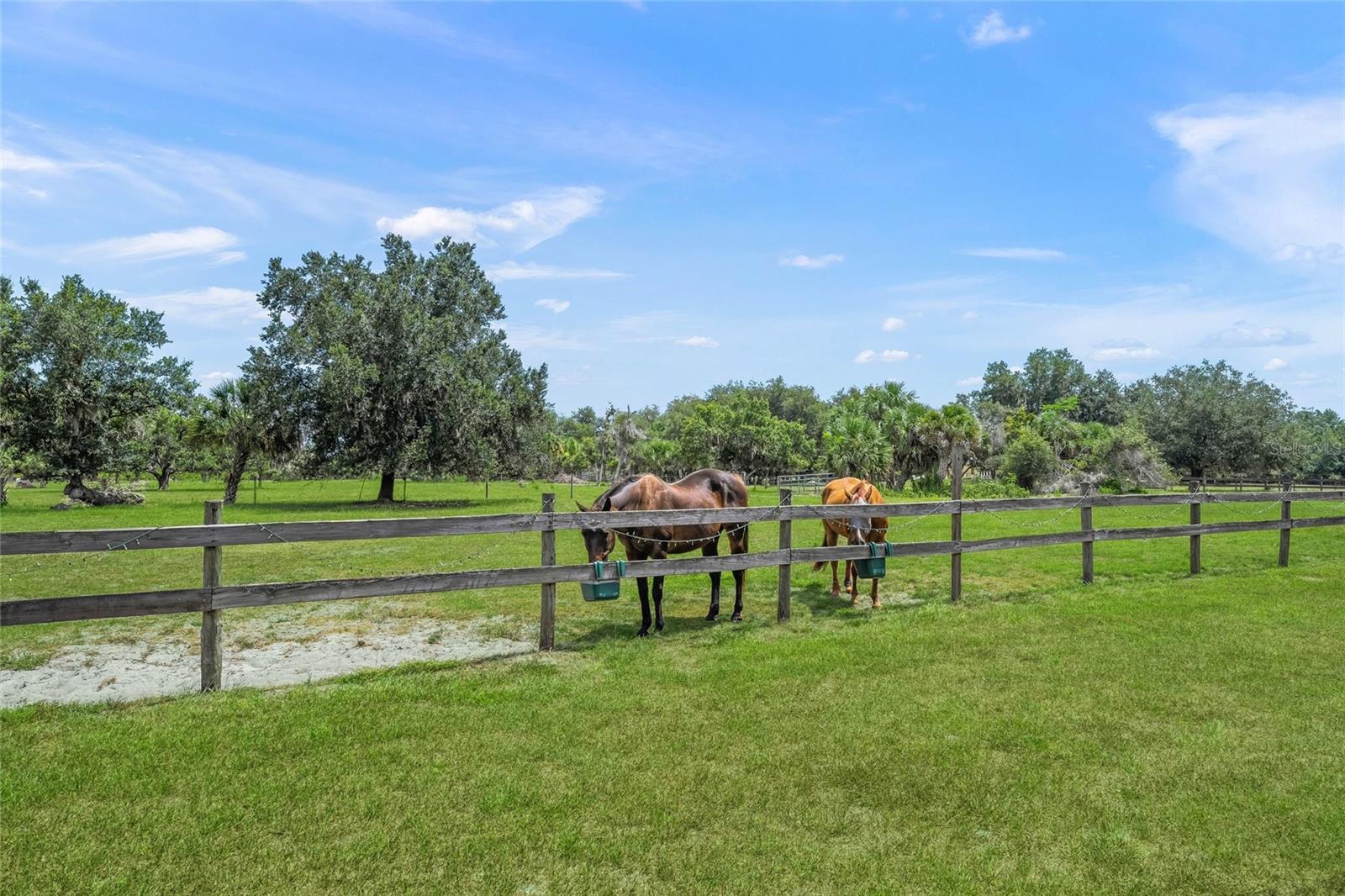 MYAKKA VALLEY RANCHES - Residential